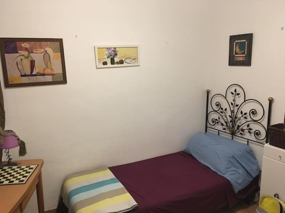 The Oasis One Spacious Apartment In Sevilla Εξωτερικό φωτογραφία